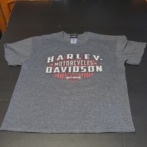 Harley-Davidson Gray Men's T-Shirt Size L NIAGRA FALLS